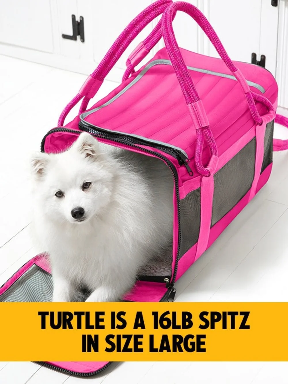 OUT-OF-OFFICE PET CARRIER PRO EDITION -TSA COMPLIANT